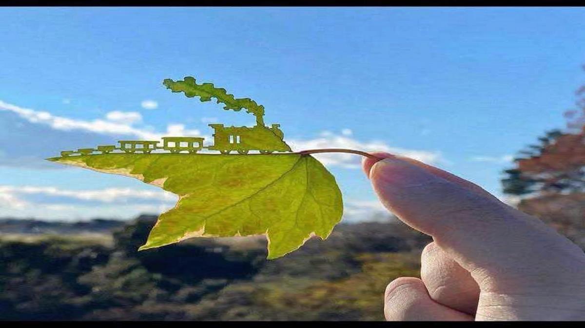  روز دختر برای وضعیت